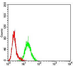 Monoclonal Mouse anti-Human CML / BCR Antibody (clone 1E11G12, WB)