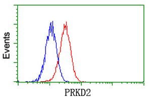 Monoclonal Mouse anti-Human PRKD2 / PKD2 Antibody (clone OTI3B12, IF, WB)
