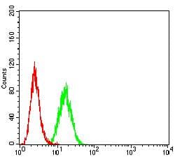 GRIN2A / NMDAR2A / NR2A Antibody (clone 3G10F9)