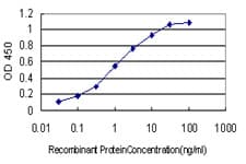 MYBPH Antibody (clone 1F11)