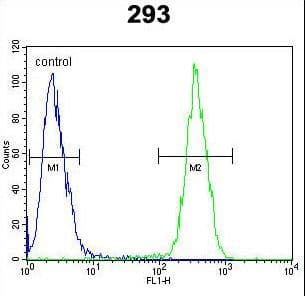 CLPX Antibody (aa449-477)