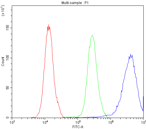 BCL2L1 / BCL-XL Antibody
