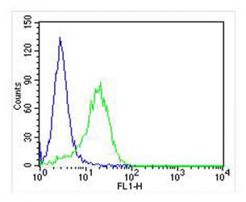 IHC-plus™ RAB3A Antibody (clone 1531CT562.14.57)