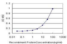 VRK2 Antibody (clone 3B10)