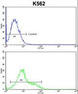 HSorCS / SORCS1 Antibody (aa126-154)