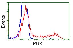KHK / Ketohexokinase Antibody (clone OTI1F1)