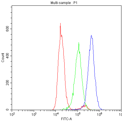 THY1 / CD90 Antibody