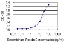 Monoclonal Mouse anti-Human PPM1B Antibody (clone 1A3-2A4, IF, WB)