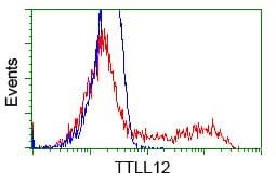 KIAA0153 / TTLL12 Antibody (clone OTI6E4, Carrier-free)