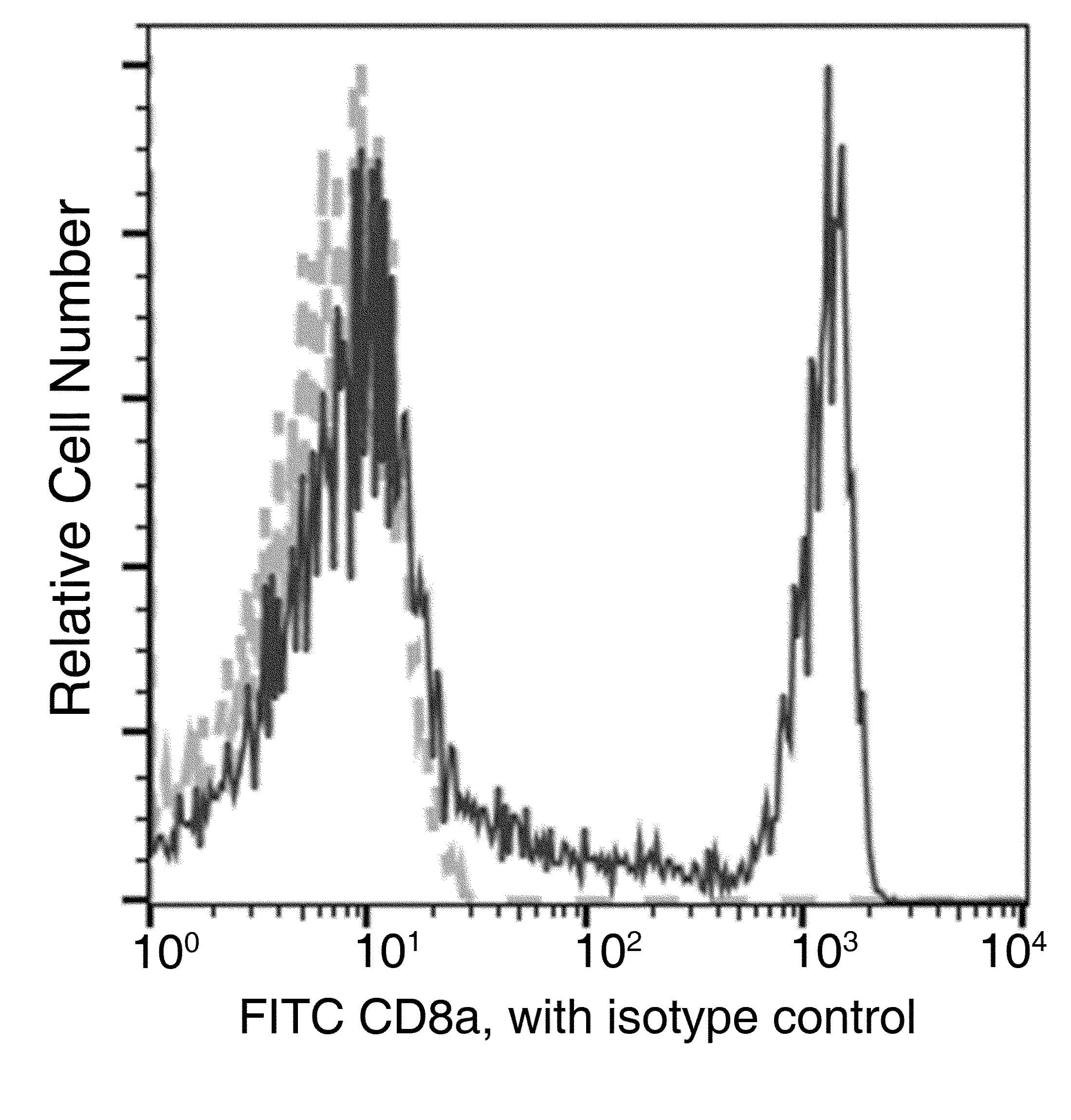Monoclonal Mouse anti-Human CD8A / CD8 Alpha Antibody (clone 48, FITC)