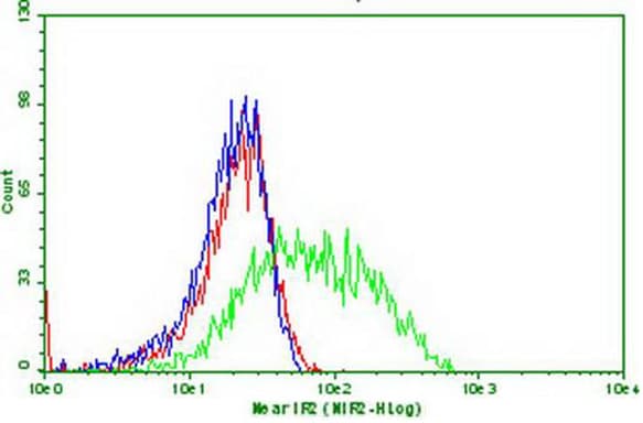 PDCD1 / CD279 / PD-1 Antibody (clone OTI13D4)