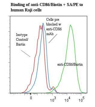 CD86 Antibody (clone BU63, Biotin)