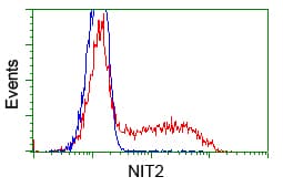 NIT2 Antibody (clone OTI2B9, Carrier-free)