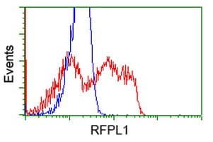 RFPL1 Antibody (clone OTI1D3, Carrier-free)