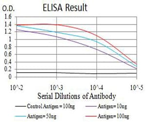 ATG2A Antibody (clone 4H8G3)