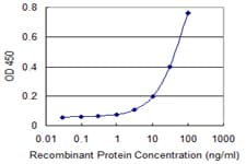 CYP4F3 Antibody (clone 4E11)