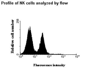 Monoclonal Mouse anti-Human KIR2DL3 / CD152B2 Antibody (clone 190IIC311, WB)