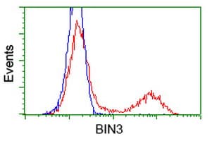 BIN3 Antibody (clone OTI5E3)