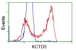 KCTD5 Antibody (clone OTI3C8, Carrier-free)
