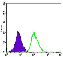 MAPK6 / ERK3 Antibody (clone 400000000)