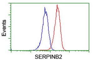 SERPINB2 / PAI-2 Antibody (clone 1F6, Carrier-free)
