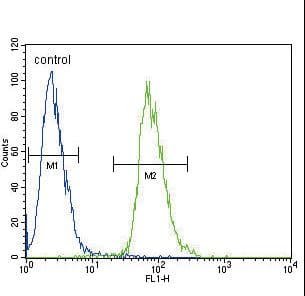 ETV5 / ERM Antibody (aa8-36)