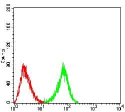 CLECSF6 / DCIR Antibody (clone 1B4A10)