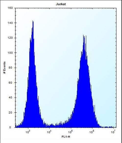 IHC-plus™ SPOPL Antibody (aa221-249)