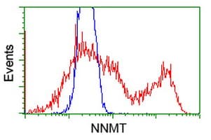 IHC-plus™ NNMT Antibody (clone 3E3)