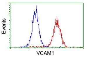 VCAM1 / CD106 Antibody (clone OTI4A10)