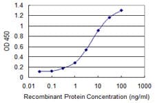 Monoclonal Mouse anti-Human STK31 Antibody (clone 1C10, WB)