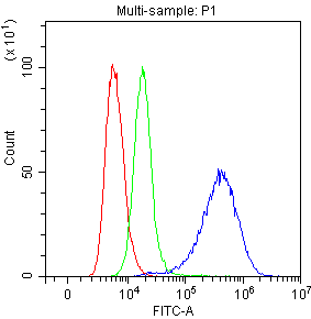 MSLN / Mesothelin Antibody (aa306-576)
