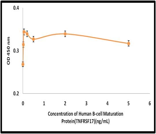 Human TNFRSF17 / BCMA Protein (Recombinant)