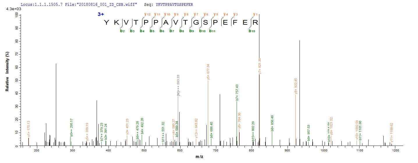Human MGST2 Protein (Recombinant 10His, N-terminus)