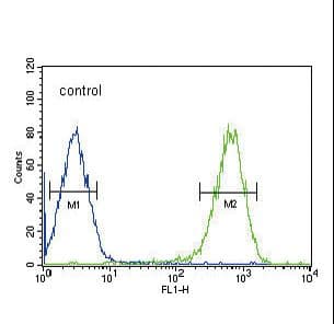 Polyclonal Rabbit anti-Human DLAT / PDC-E2 Antibody (aa579-607, IHC, WB)
