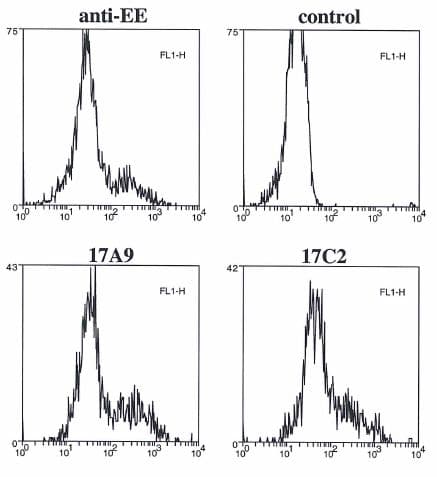 BMF Antibody (aa13-27, clone 17A9)