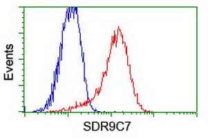 SDR9C7 Antibody (clone OTI8F3)