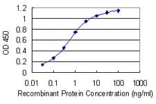 HnRNP-E1 / PCBP1 Antibody (clone 1G2)