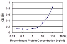 HOOK3 Antibody (clone 3A5)