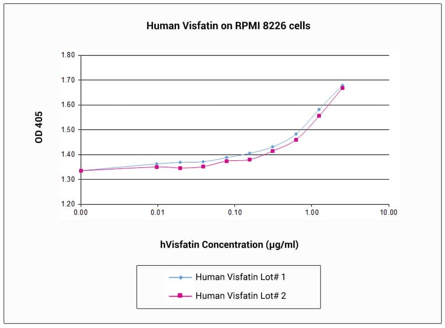 Human NAMPT / Visfatin Protein (Recombinant)