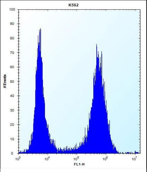 MT-ND3 Antibody (aa10-38)