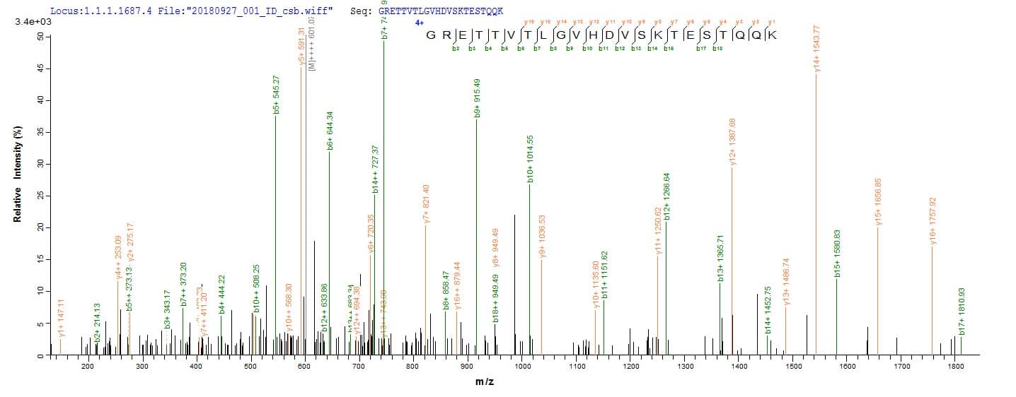 Rat MCPT1 / Mast Cell Protease 1 Protein (Recombinant Myc,N-terminus)