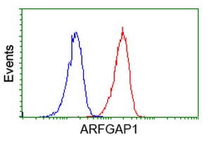 ARFGAP1 Antibody (clone OTI1H6)