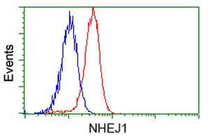 NHEJ1 / XLF Antibody (clone OTI1G7, Carrier-free)