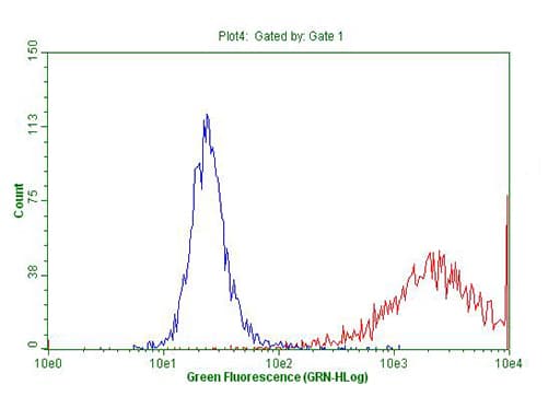 Monoclonal Mouse anti-Human KRT18 / CK18 / Cytokeratin 18 Antibody (clone OTI10H8, Carrier-free, aa69-372, IHC, WB)