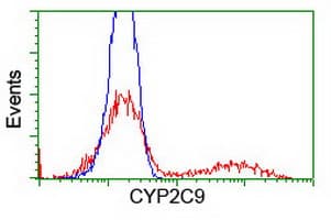 Monoclonal Mouse anti-Human CYP2C9 / Cytochrome P450 2C9 Antibody (clone OTI1D7, IHC, IF, WB)