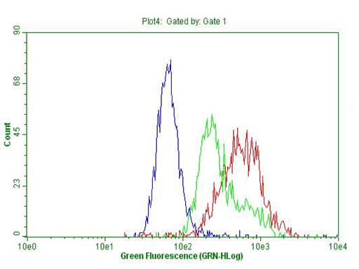 IQGAP1 Antibody (aa464-609, clone OTI7F5, Carrier-free)