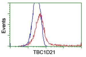 TBC1D21 Antibody (clone OTI2A6, Carrier-free)