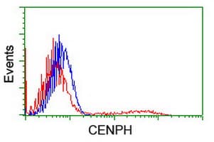 CENPH / CENP-H Antibody (clone OTI4G6)