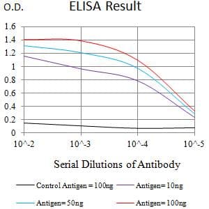 APOER2 / LRP8 Antibody (clone 6F6B6)